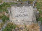 image of grave number 737216